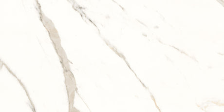 Calacatta White